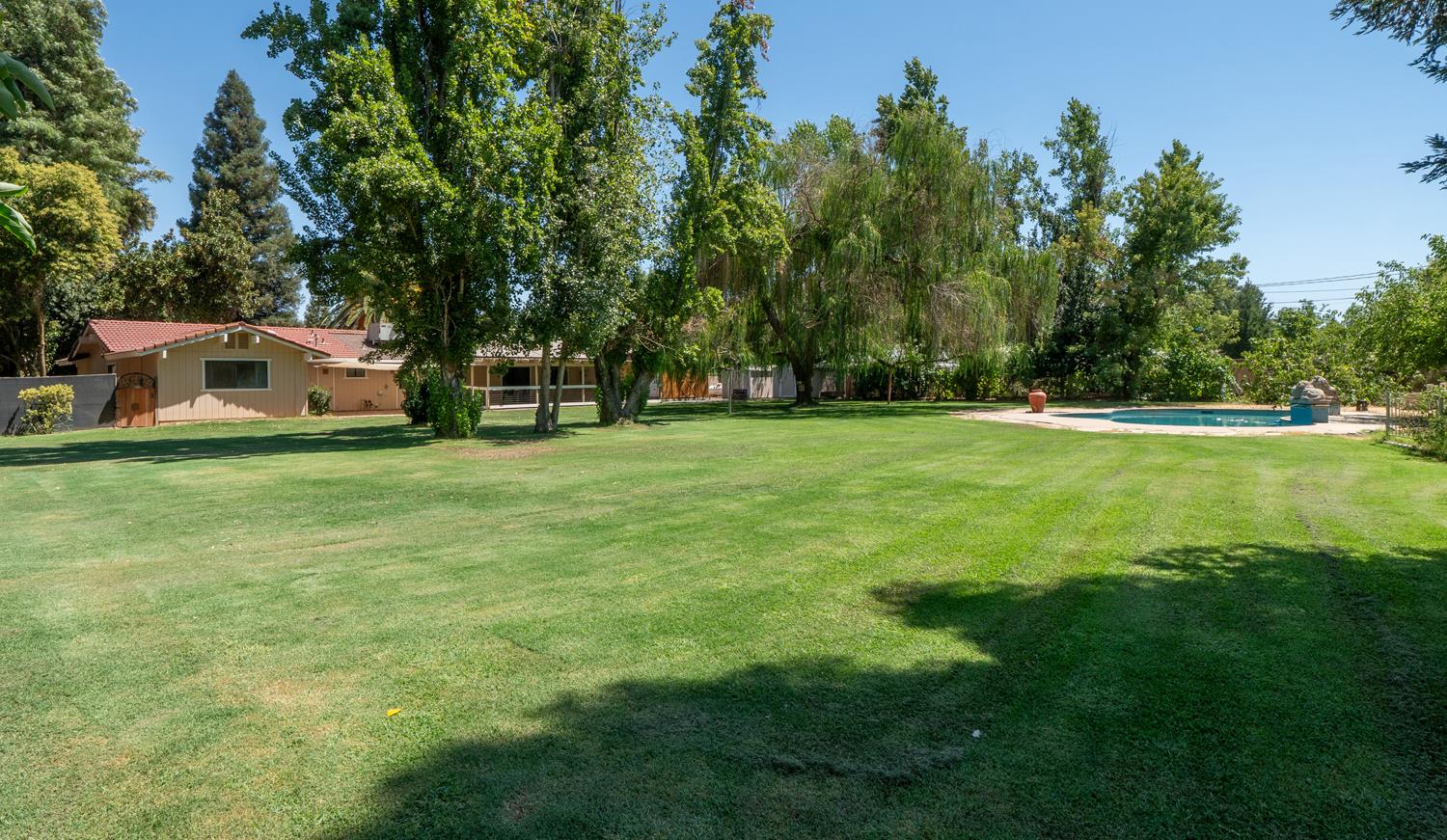 12502 Road 37 1/2 Madera, CA 93636 - Photo 47 of 79 a view of a trees with a house in the background