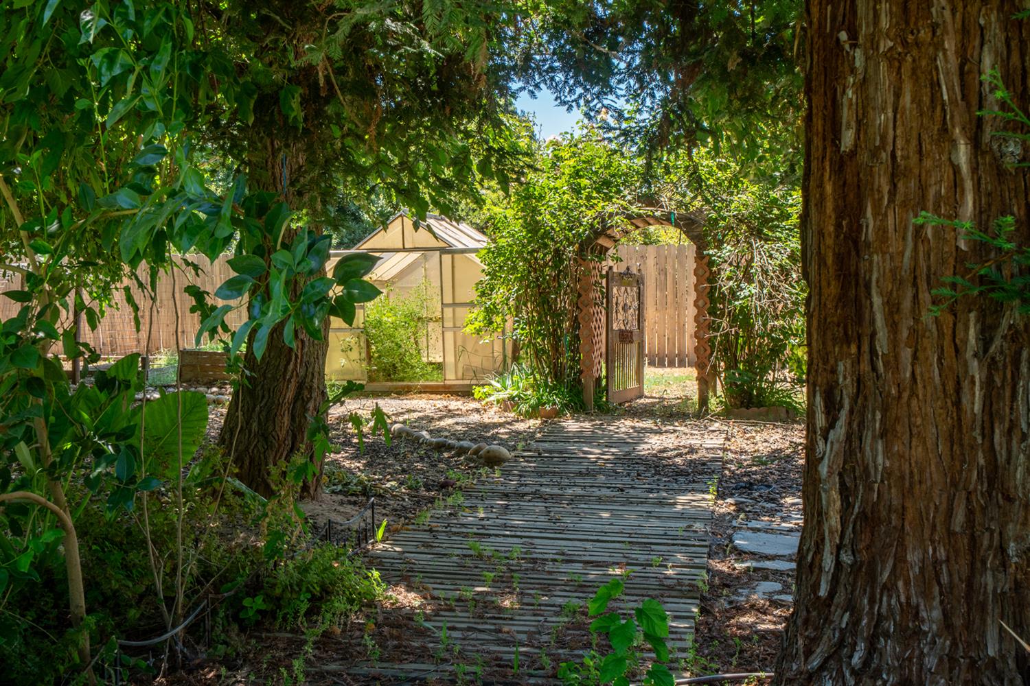 12502 Road 37 1/2 Madera, CA 93636 - Photo 48 of 79 a view of a house with a tree in the background