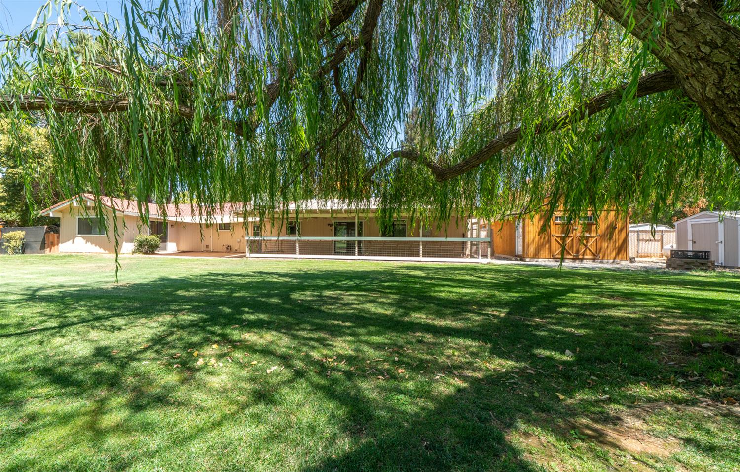 12502 Road 37 1/2 Madera, CA 93636 - Photo 49 of 79 a view of yard with grass and trees
