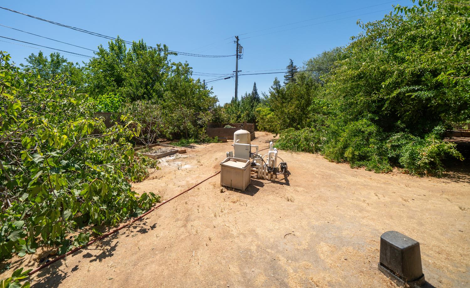12502 Road 37 1/2 Madera, CA 93636 - Photo 60 of 79 a view of backyard with a table and chairs and potted plants