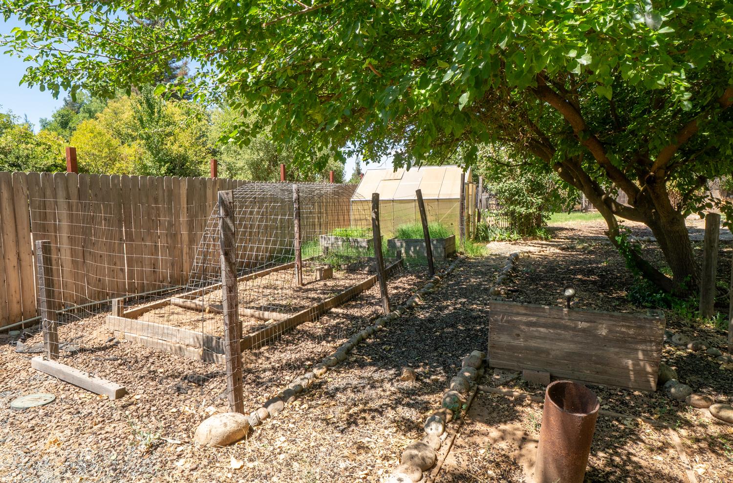 12502 Road 37 1/2 Madera, CA 93636 - Photo 67 of 79 a backyard of a house with a tree