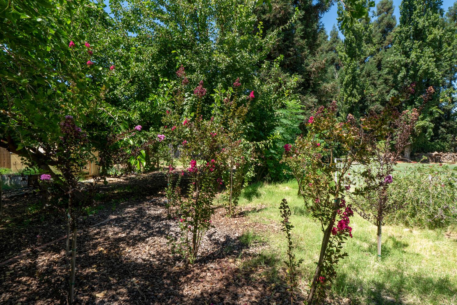 12502 Road 37 1/2 Madera, CA 93636 - Photo 68 of 79 a backyard of a house with a yard and outdoor seating
