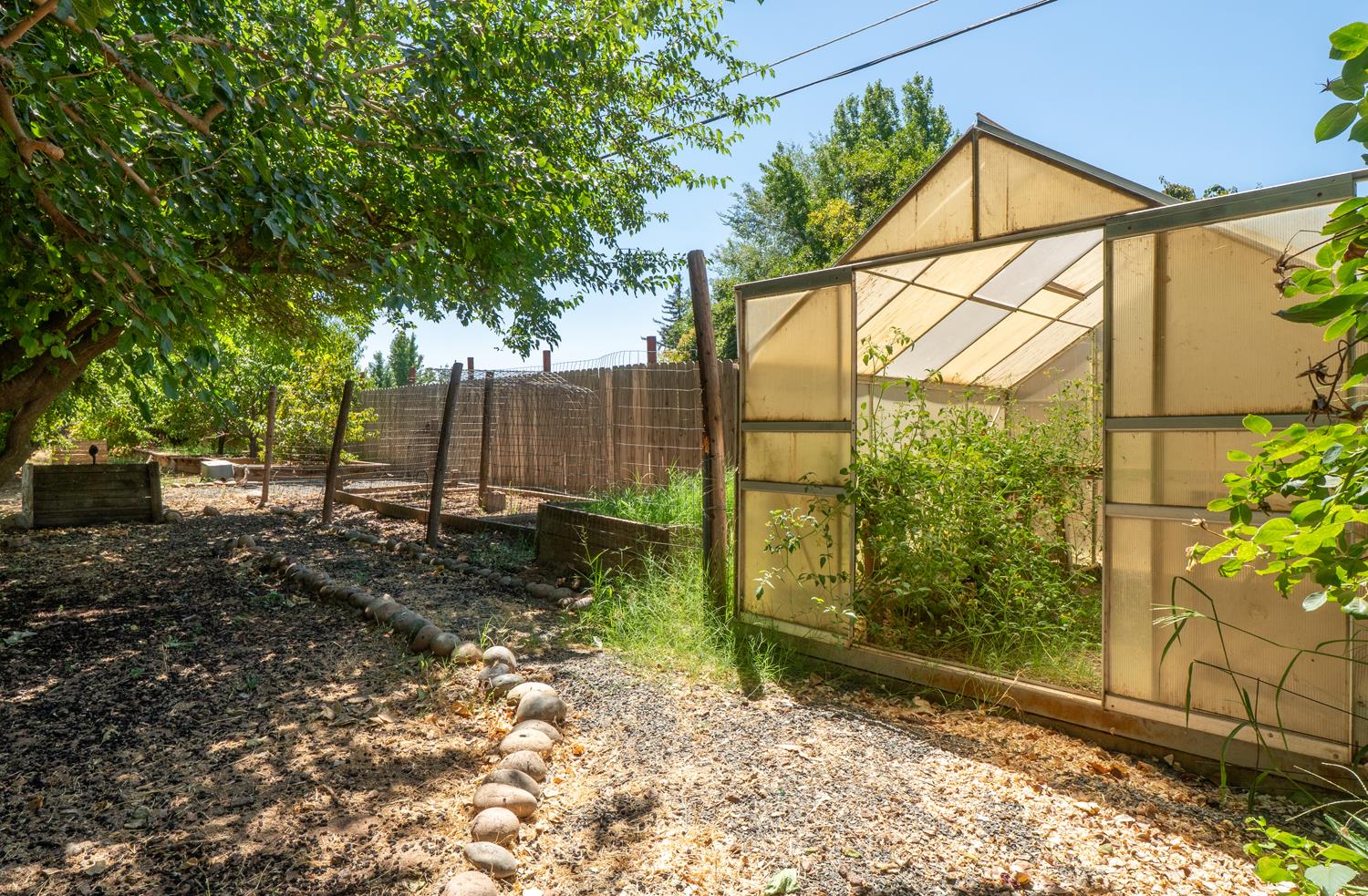 12502 Road 37 1/2 Madera, CA 93636 - Photo 70 of 79 a backyard of a house with lots of green space