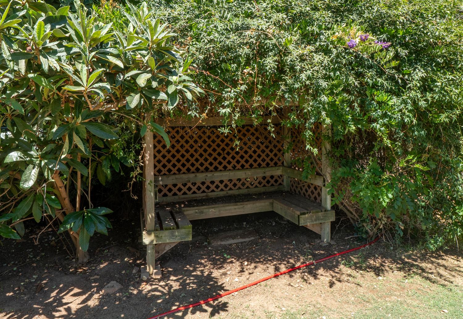 12502 Road 37 1/2 Madera, CA 93636 - Photo 74 of 79 a view of a yard with plants and wooden fence