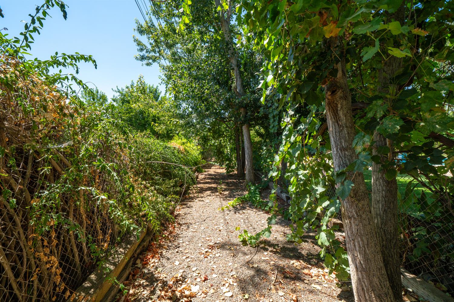 12502 Road 37 1/2 Madera, CA 93636 - Photo 77 of 79