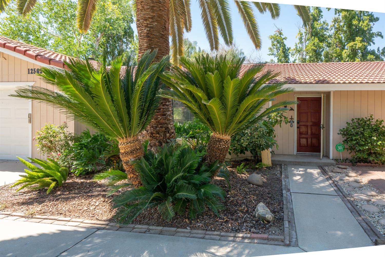 12502 Road 37 1/2 Madera, CA 93636 - Photo 9 of 79 a view of a house with a garden