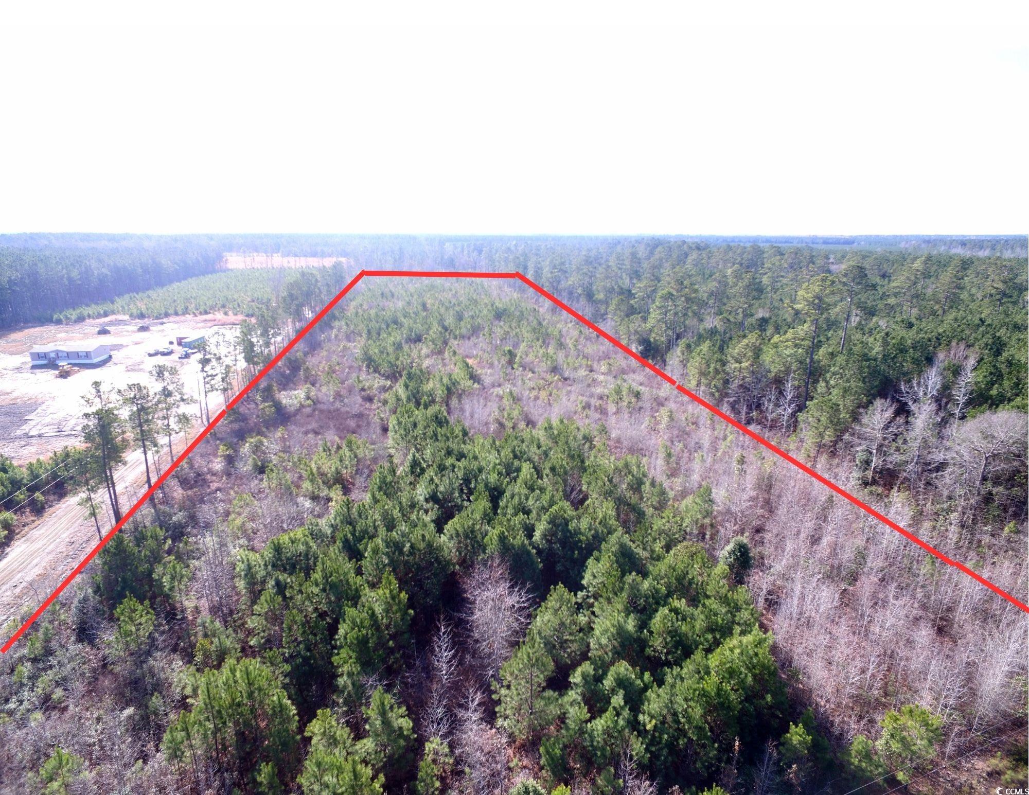 Tbd Southwind Road Pamplico, SC 29583 - Photo 1 of 17 Gallery Image 1