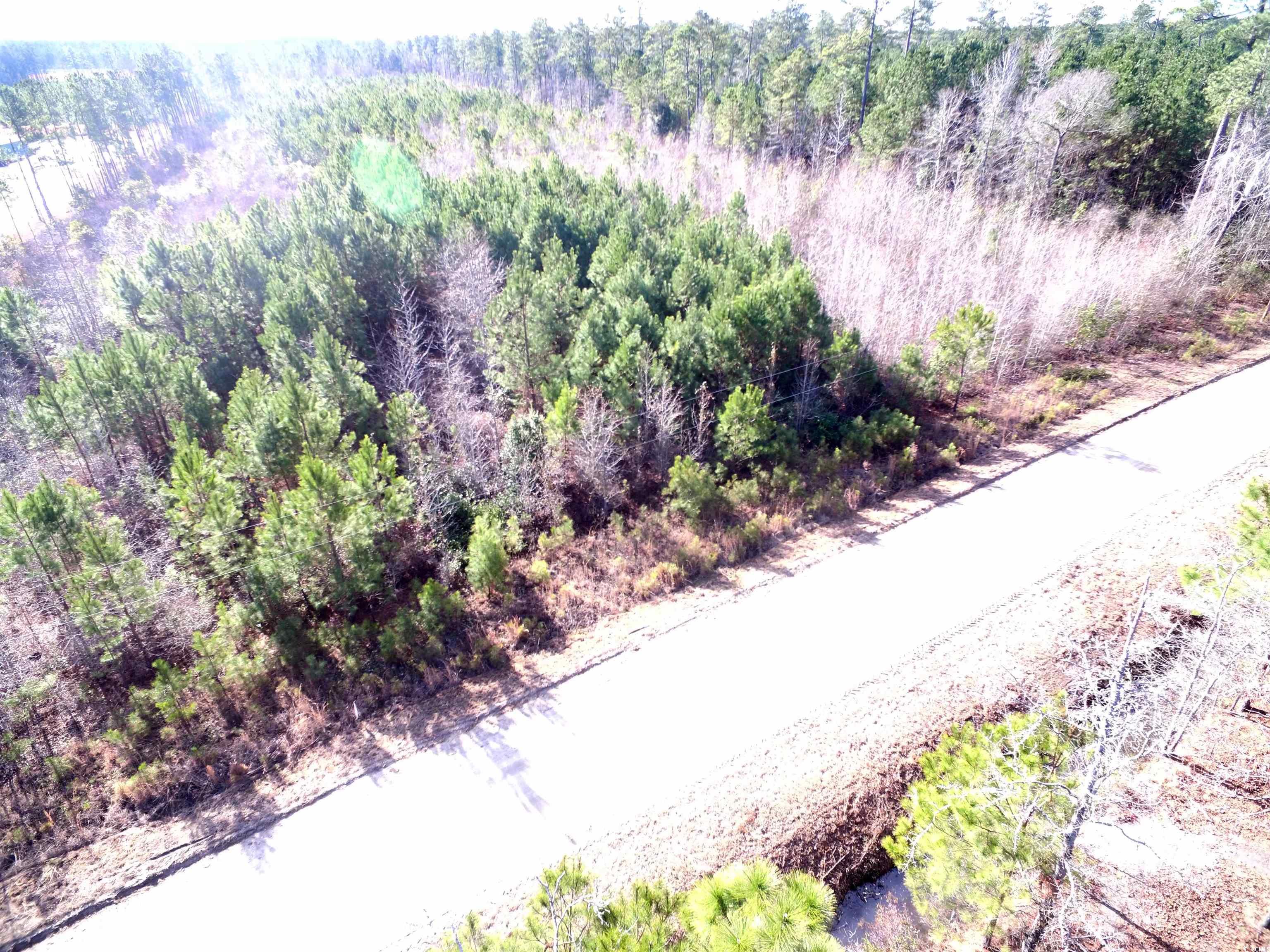Tbd Southwind Road Pamplico, SC 29583 - Photo 11 of 17 Gallery Image 11