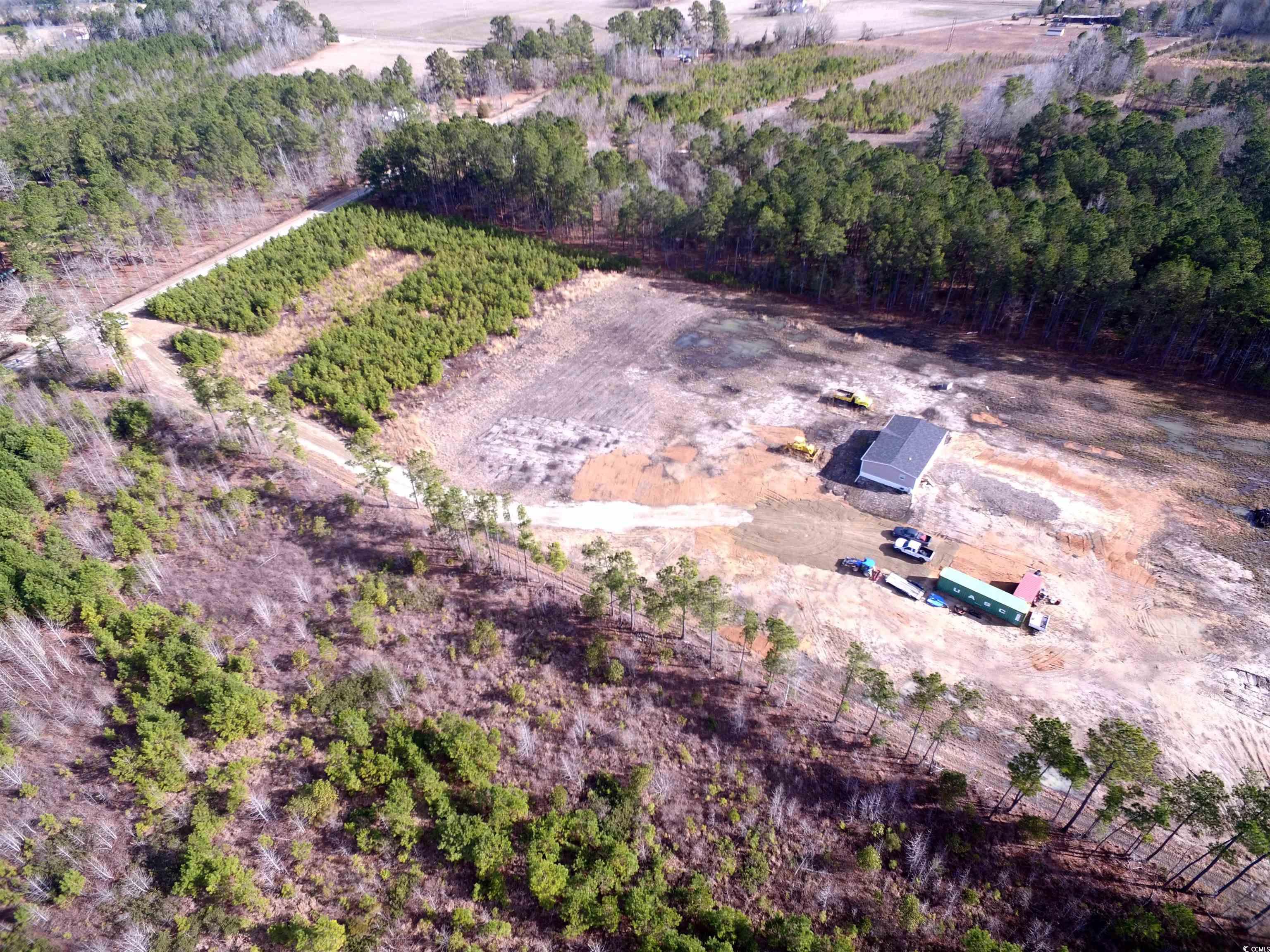 Tbd Southwind Road Pamplico, SC 29583 - Photo 13 of 17 Gallery Image 13