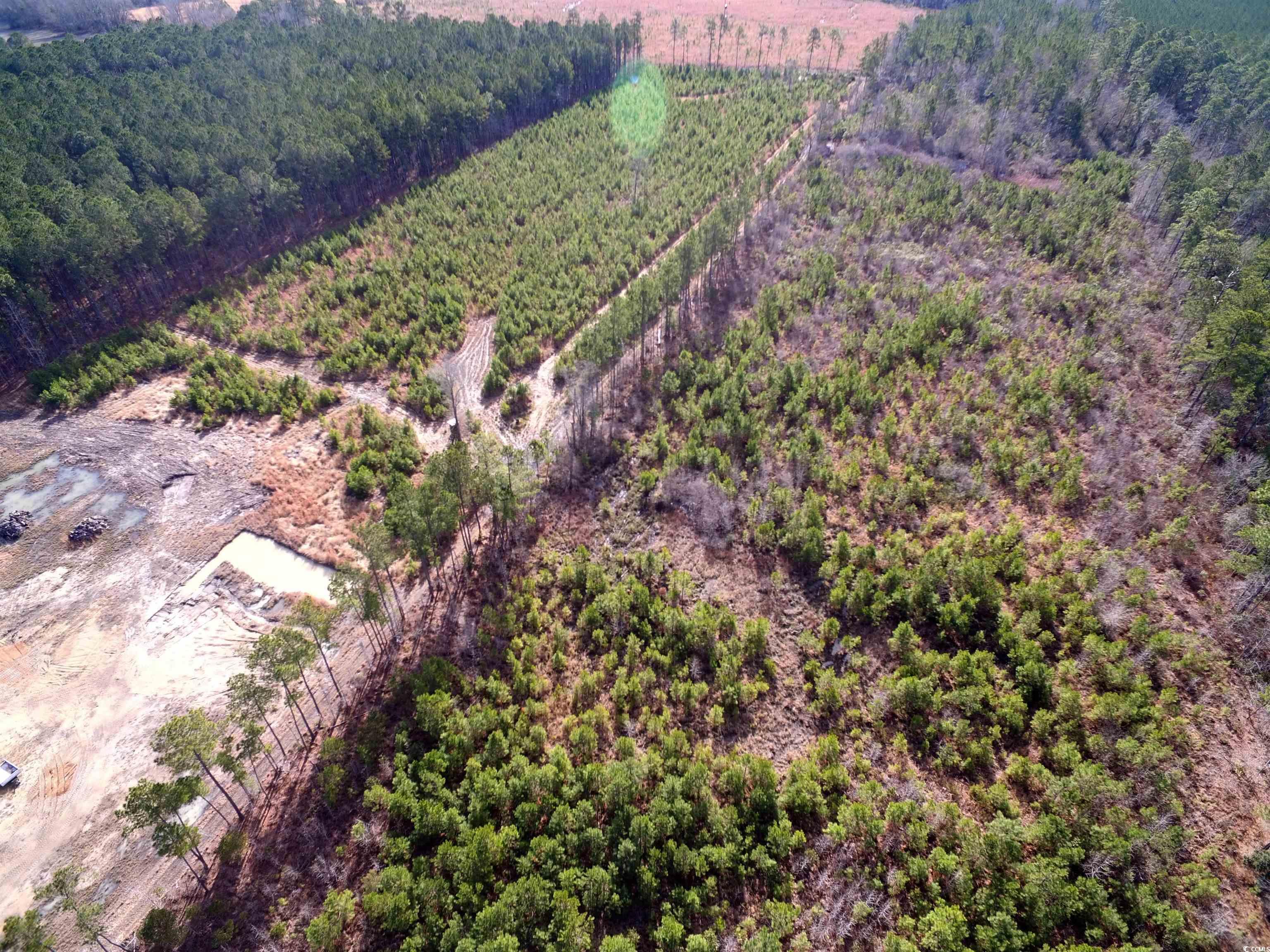 Tbd Southwind Road Pamplico, SC 29583 - Photo 15 of 17 Gallery Image 15