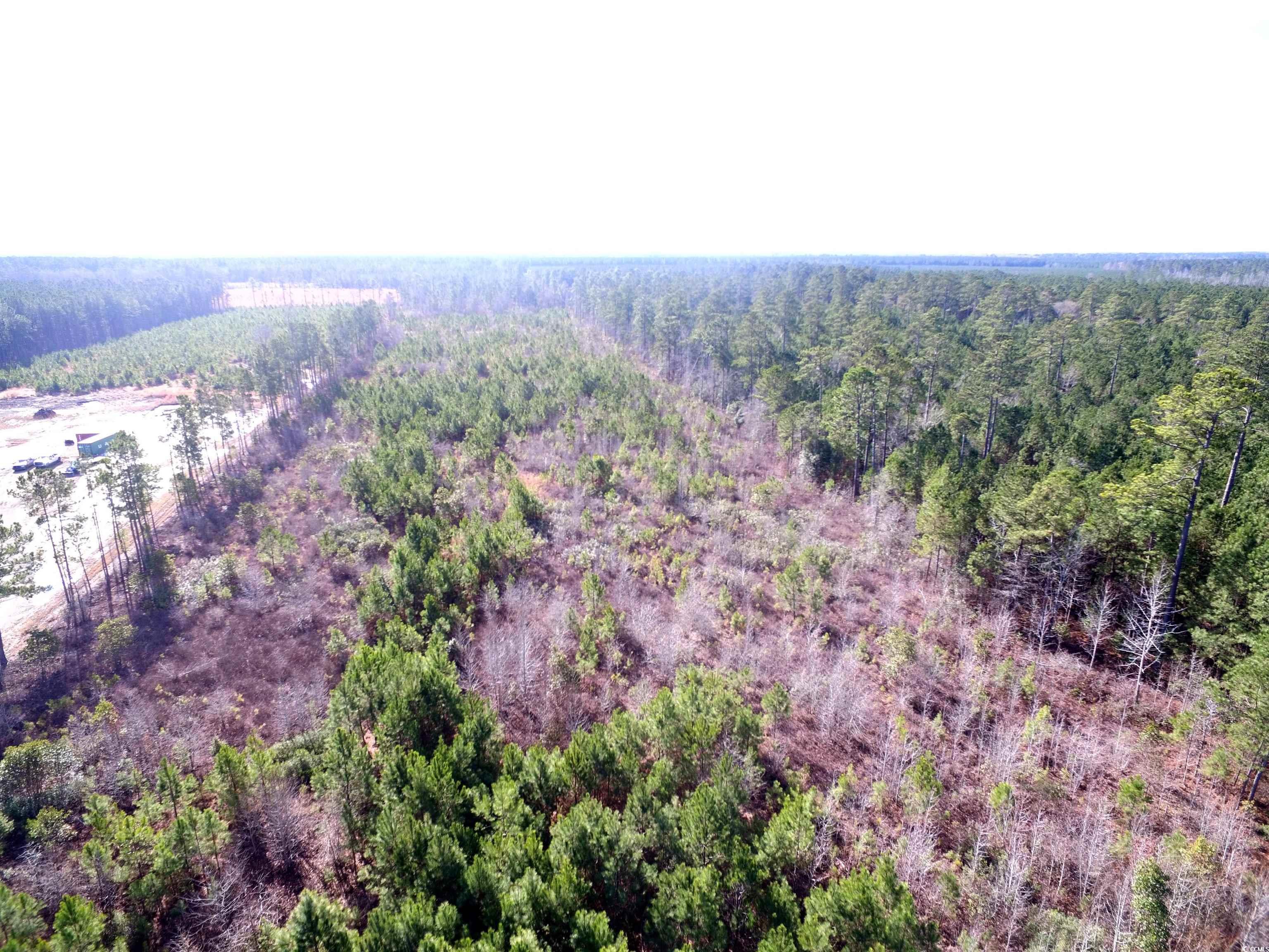 Tbd Southwind Road Pamplico, SC 29583 - Photo 3 of 17 Gallery Image 3