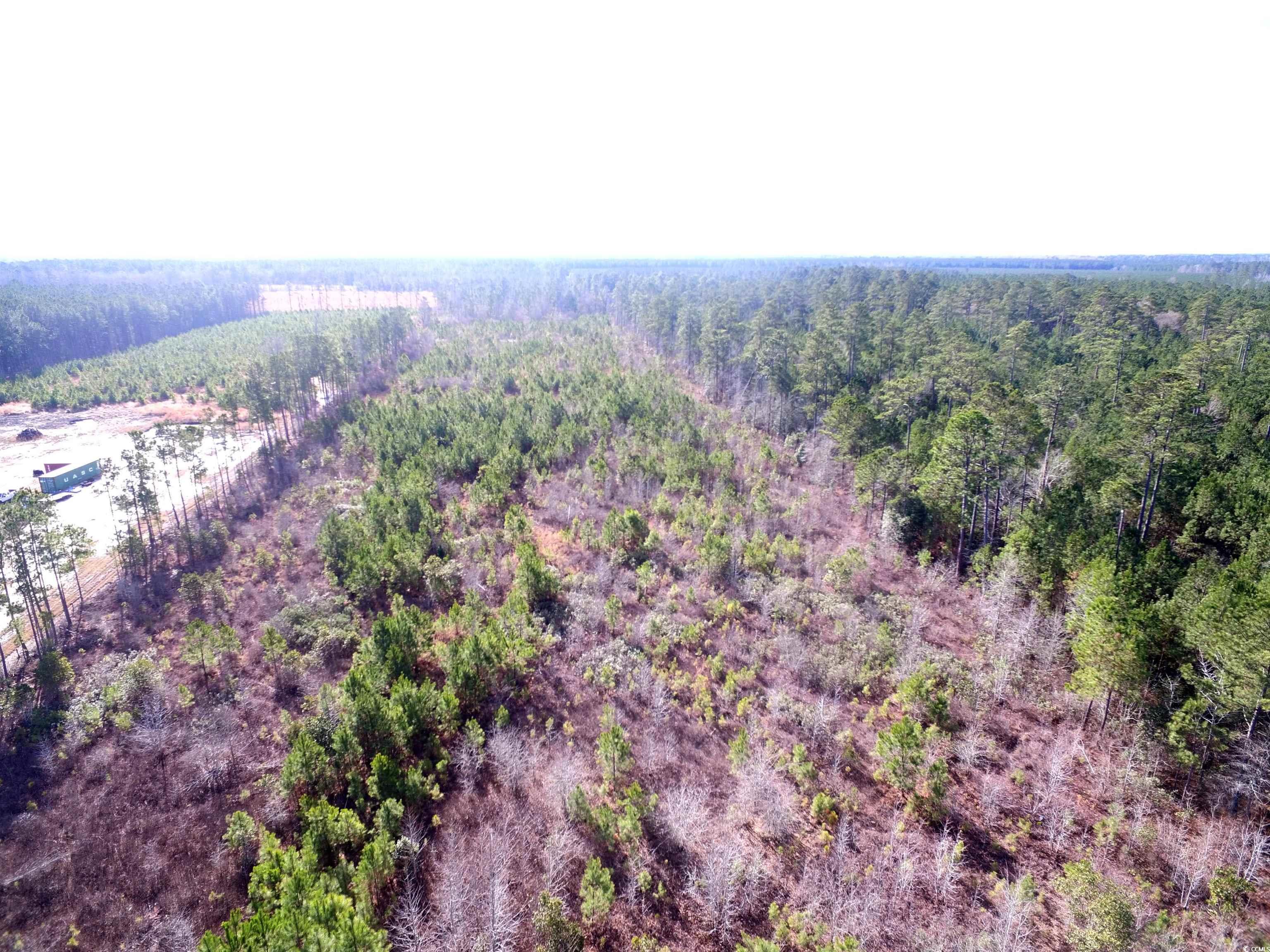 Tbd Southwind Road Pamplico, SC 29583 - Photo 4 of 17 Gallery Image 4