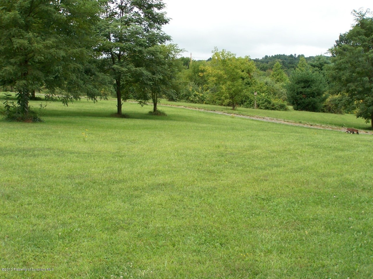 98 Detrick Road Sugar Run, PA 18846 - Photo 48 of 48 a view of a green field with trees