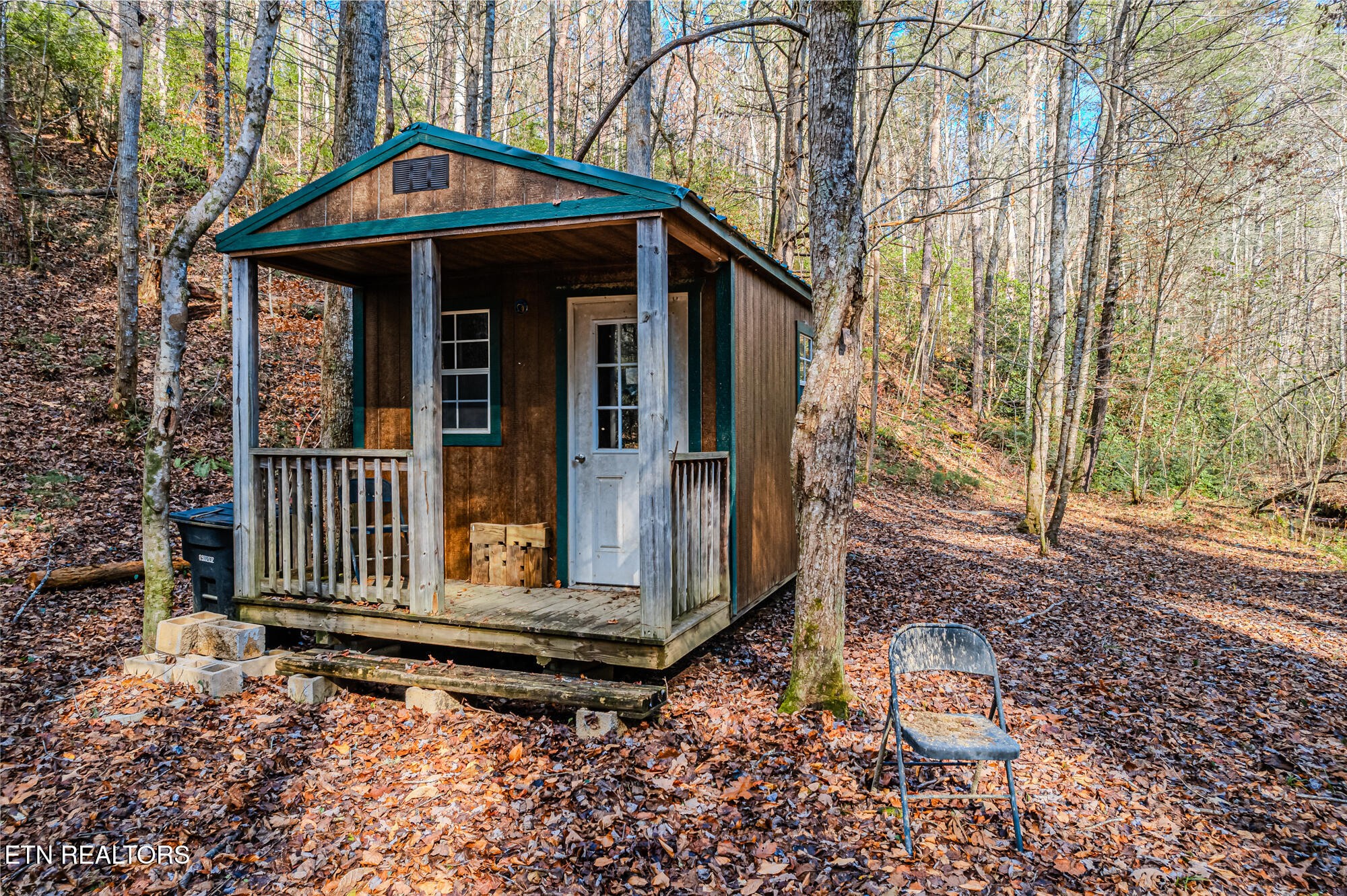0 Pond Ridge Road Tellico Plains, TN 37385 - Photo 9 of 32