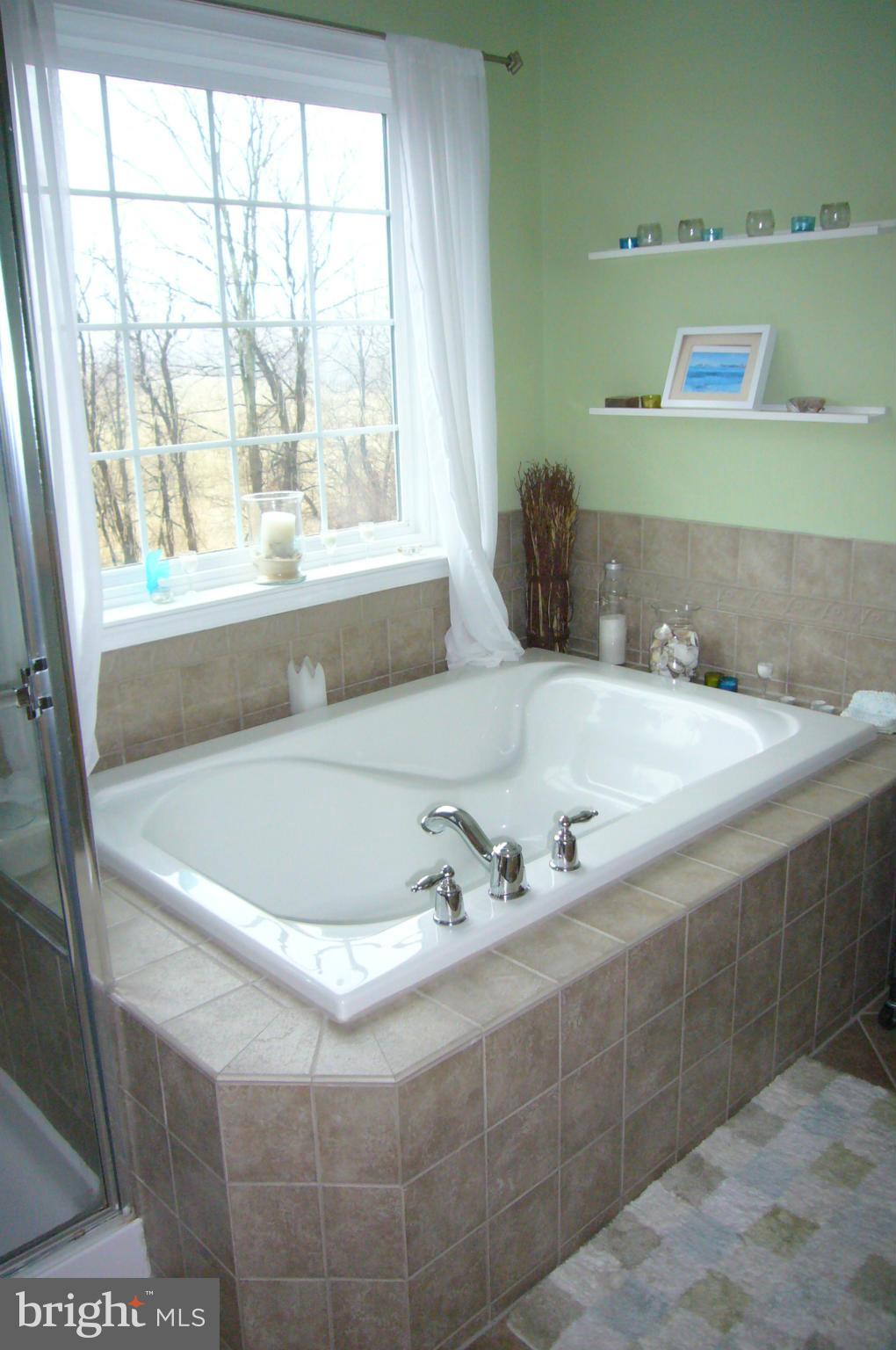 1620 Rising Ridge Road Mount Airy, MD 21771 - Photo 15 of 30 A usable TUB! & Separate shower.