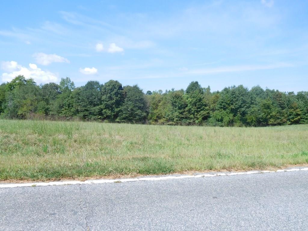 Tbd Twin Bridge Road Gaffney, SC 29341 - Photo 1 of 1