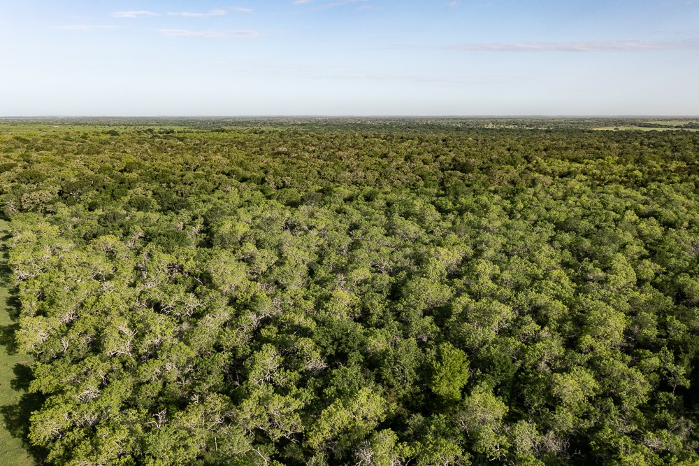 Tbd Anchor Ranch Loop Flatonia, TX 78941 - Photo 3 of 15 an aerial view of residential houses with outdoor space