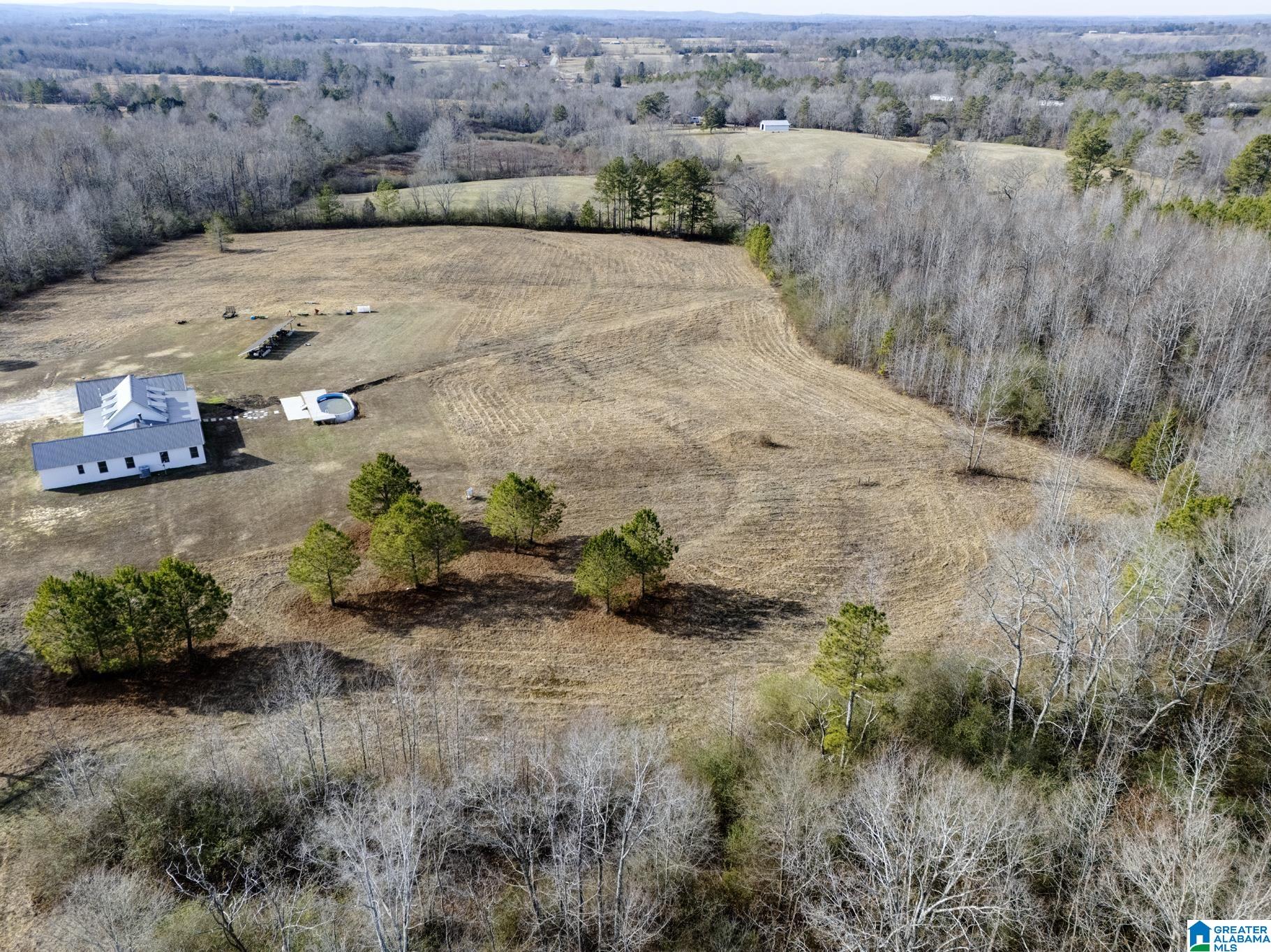 941 Hamm Road Blountsville, AL 35031 - Photo 64 of 67