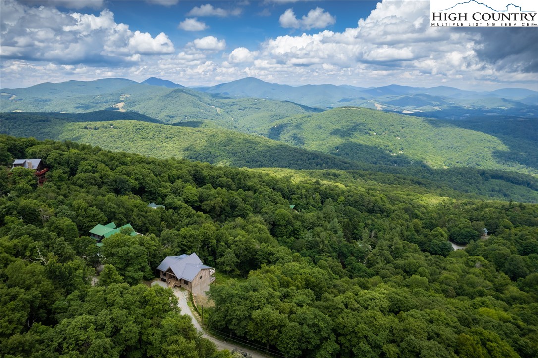 351 Broken Arrow Trail Boone, NC 28607 - Photo 45 of 48 a view of a lush green forest with houses