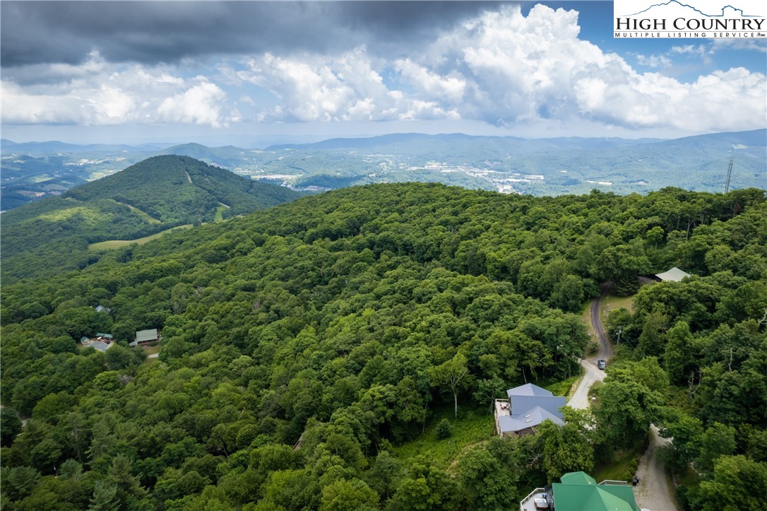 351 Broken Arrow Trail Boone, NC 28607 - Photo 46 of 48 a view of a bunch of trees in a field