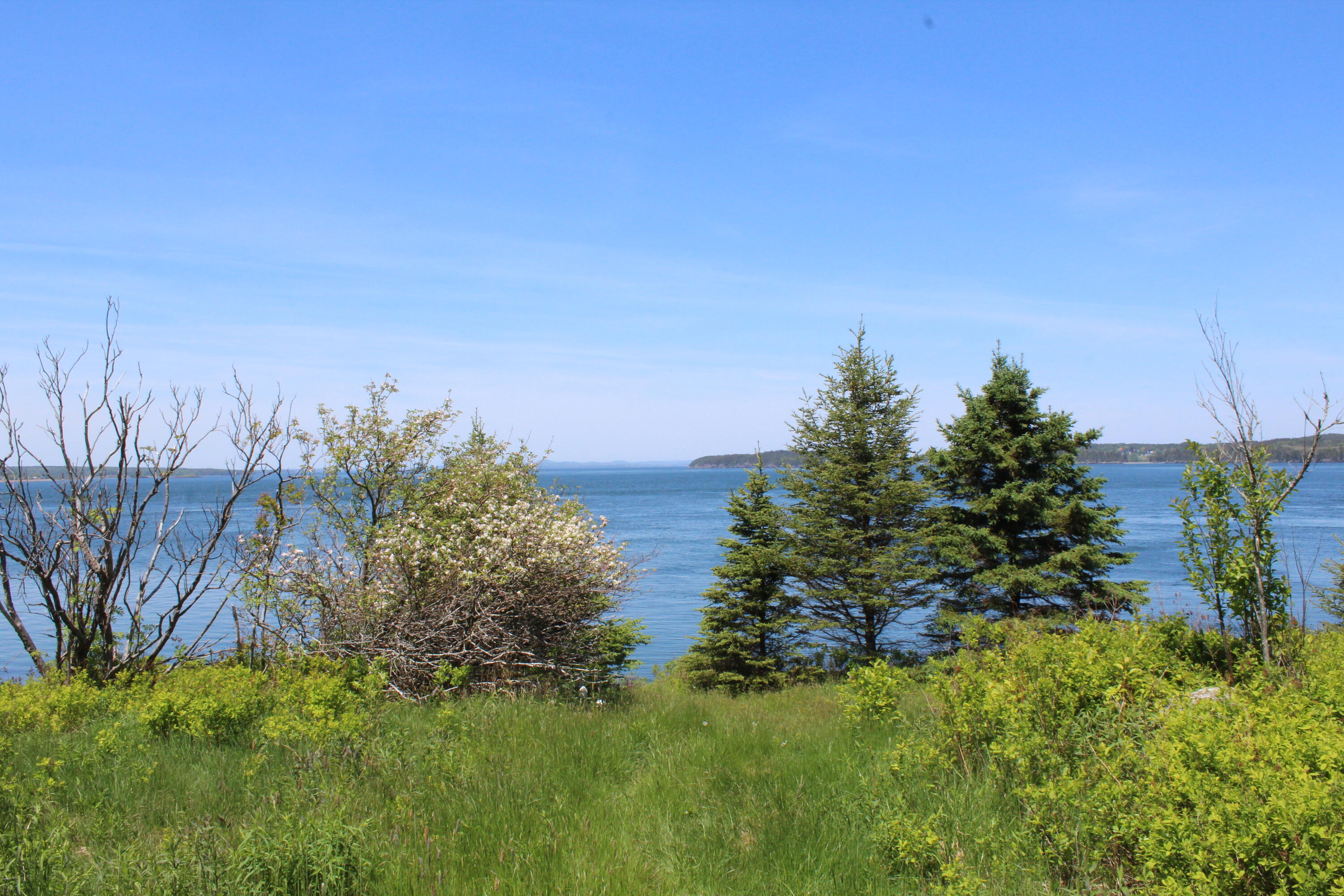 45 Kendall Head Road Eastport, ME 04631 - Photo 73 of 117 IMG_7044