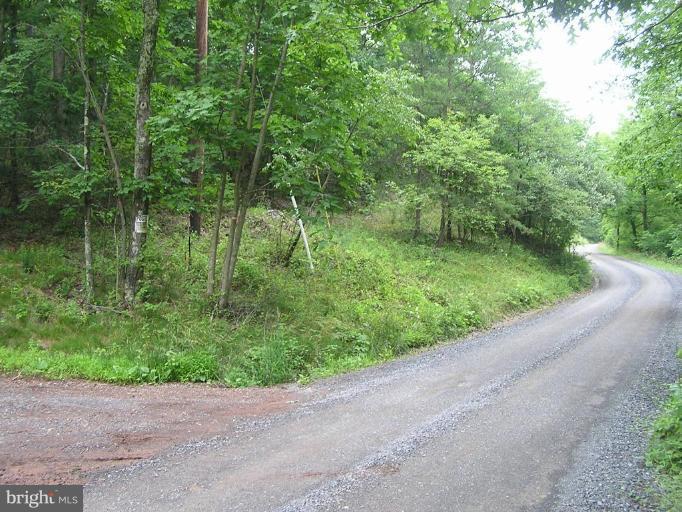 0 Cattail Road Winchester, VA 22603 - Photo 1 of 1 Road frontage on Cattail Lane.