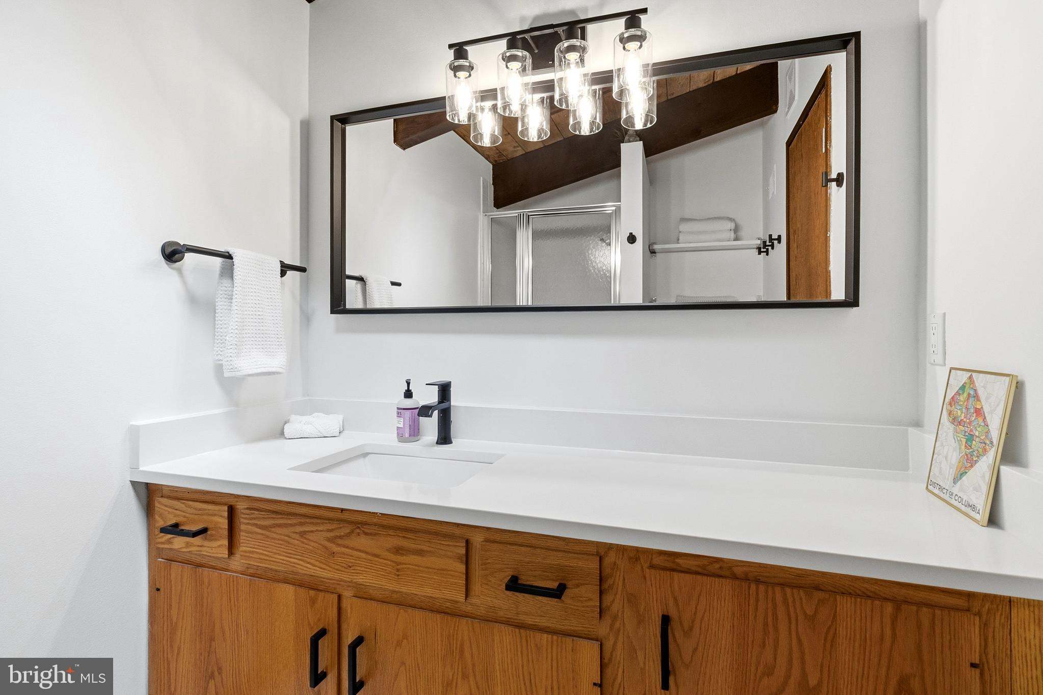 10815 Cross School Road Reston, VA 20191 - Photo 23 of 48 Primary bathroom