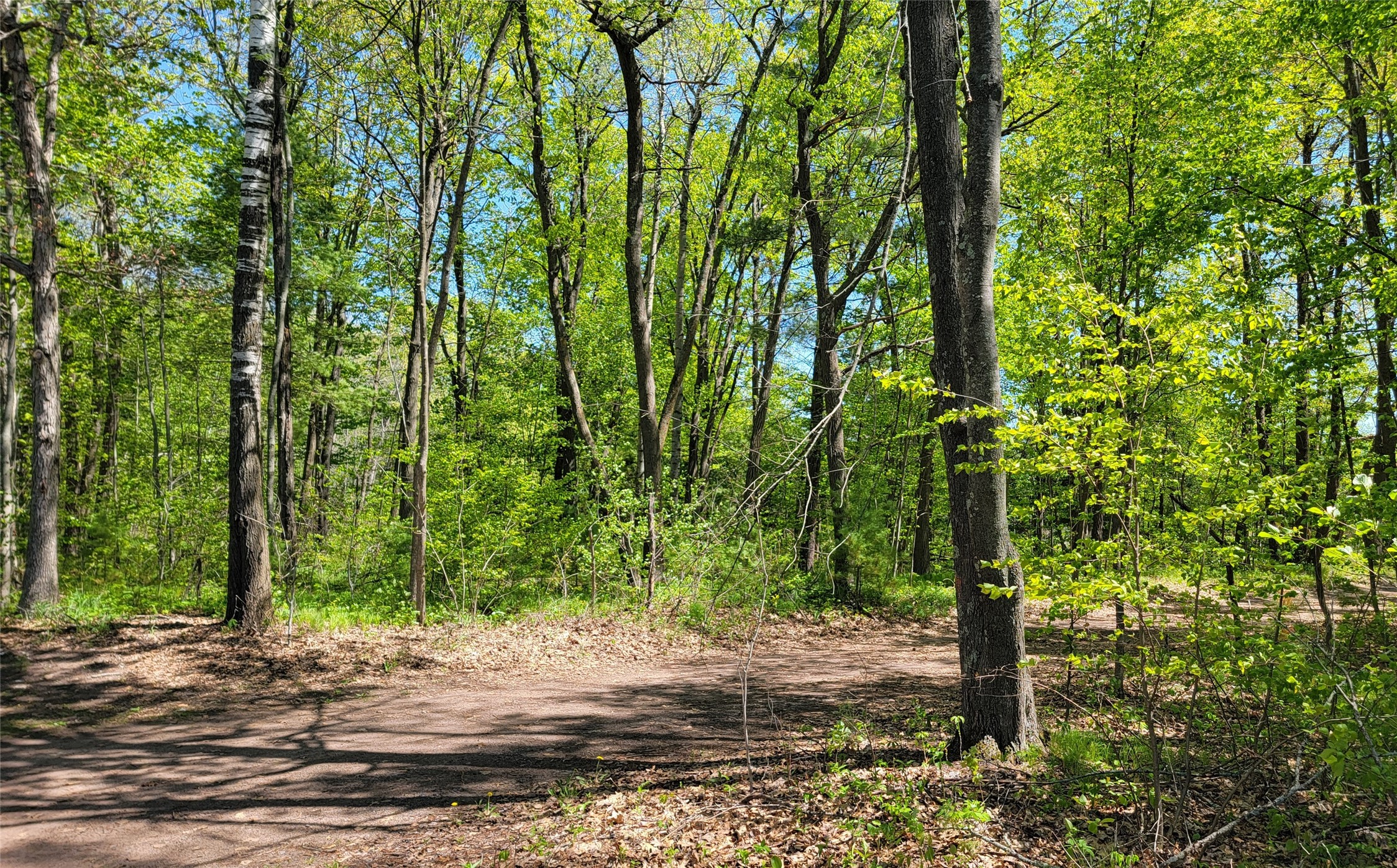 5154 County Road X Webster, WI 54893 - Photo 30 of 34