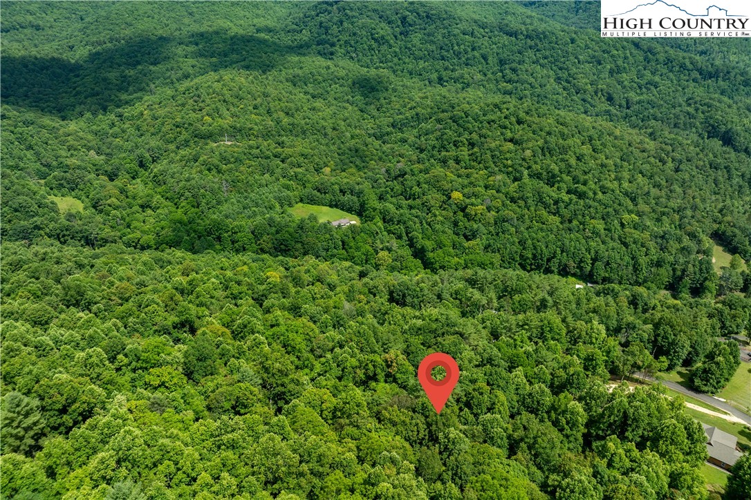 Lot 21 Lake Ridge Road Butler, TN 37640 - Photo 15 of 25