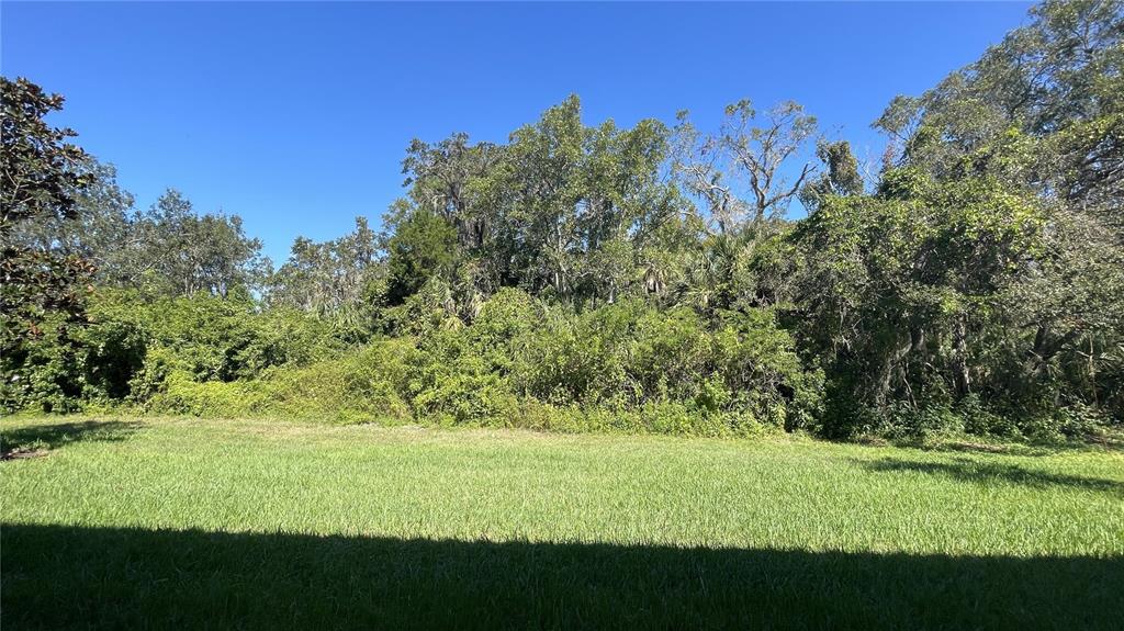 7287 Ketch Place Bradenton, FL 34212 - Photo 2 of 29 a view of a yard with an trees