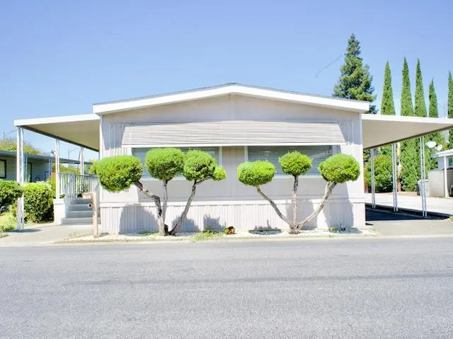 a view of a house with a yard and plants