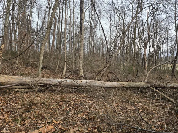 $1,200,000 | 2749 East County Road 1200 North, Brazil, IN 47834