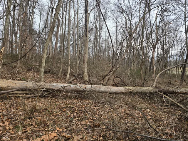 $1,200,000 | 2749 East County Road 1200 North, Brazil, IN 47834