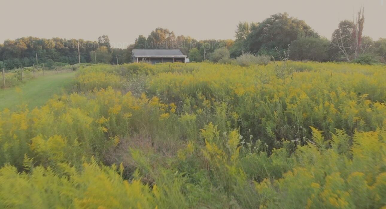 7346 Grand River Road Rives Junction, MI 49277 - Photo 15 of 16 IMG_8736