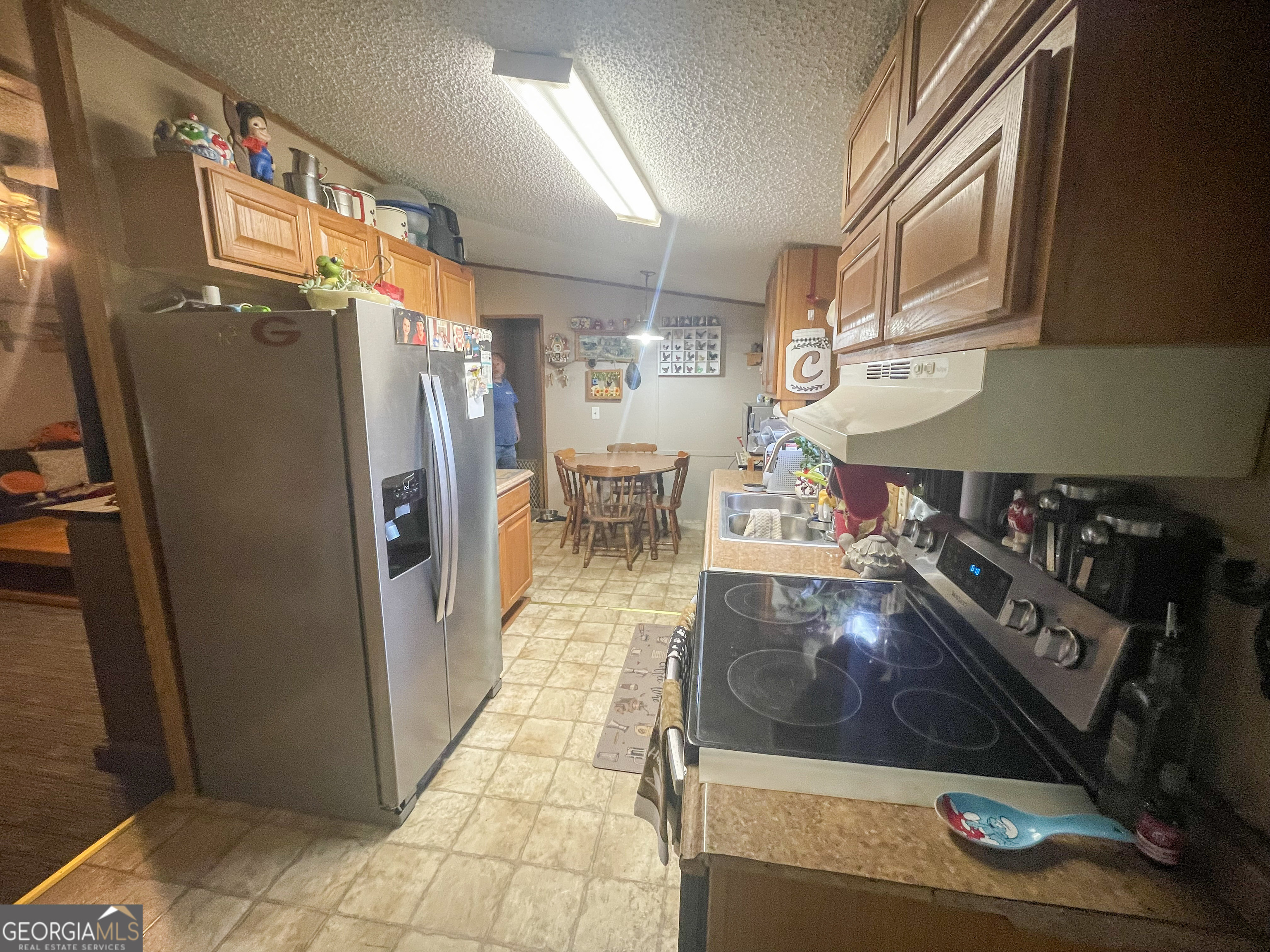 465 Hines Road Hogansville, GA 30230 - Photo 4 of 19