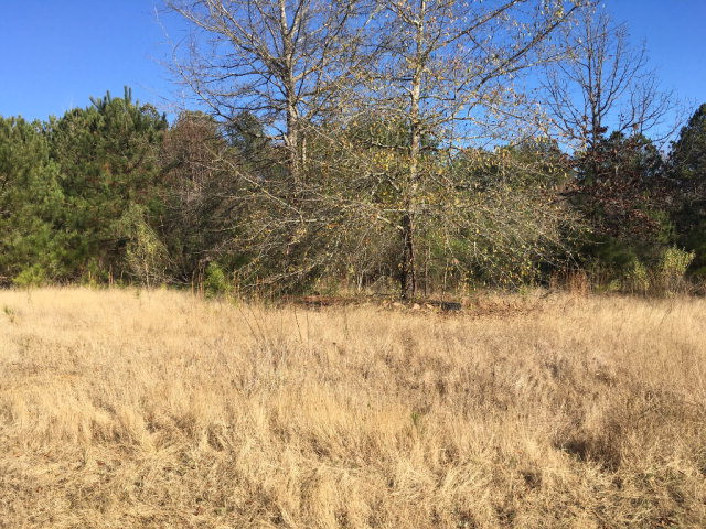 138 Salon Road Saluda, SC 29138 - Photo 1 of 1