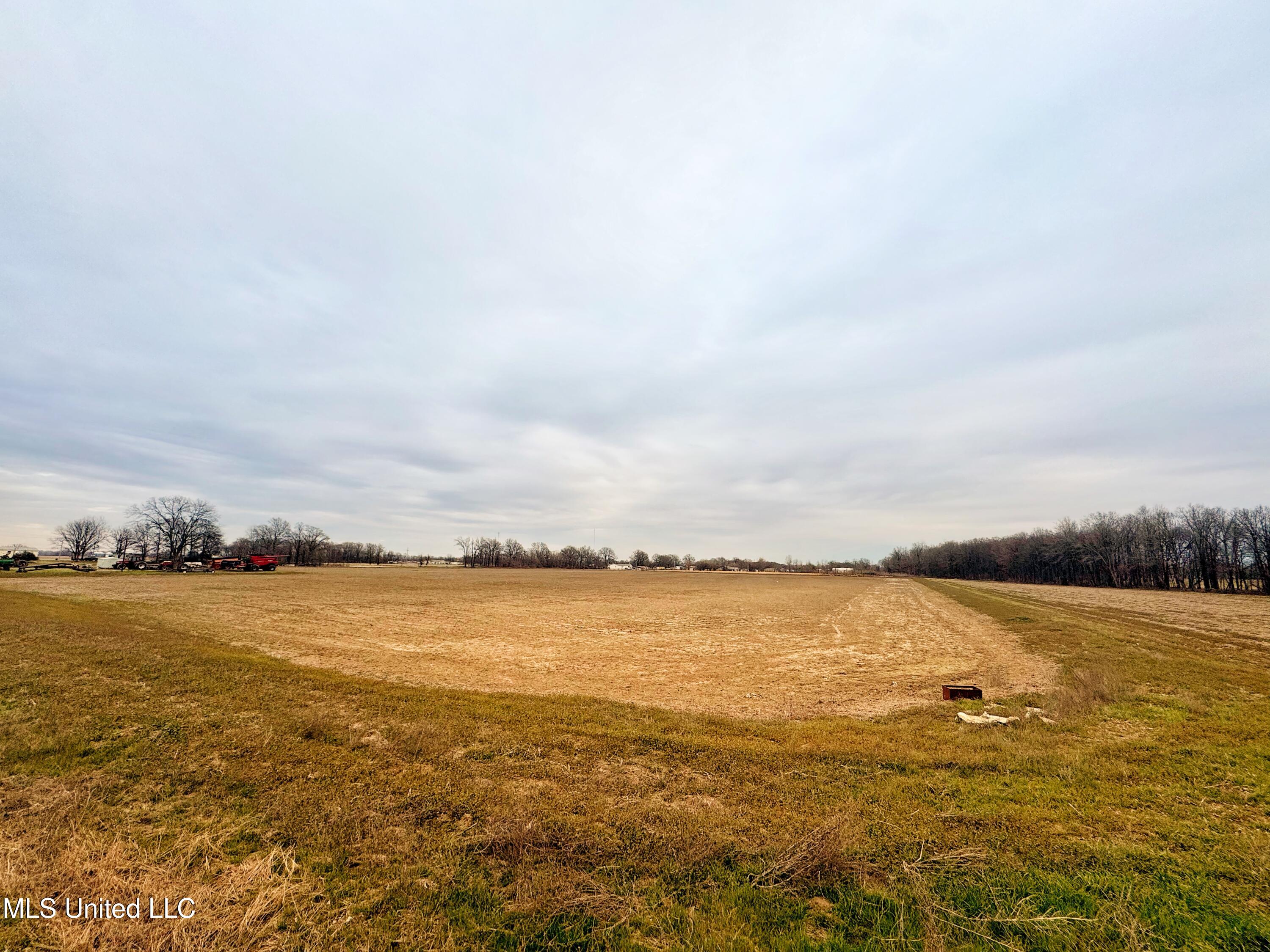 Mcwimus Road Merigold, MS 38759 - Photo 1 of 15 IMG_5533