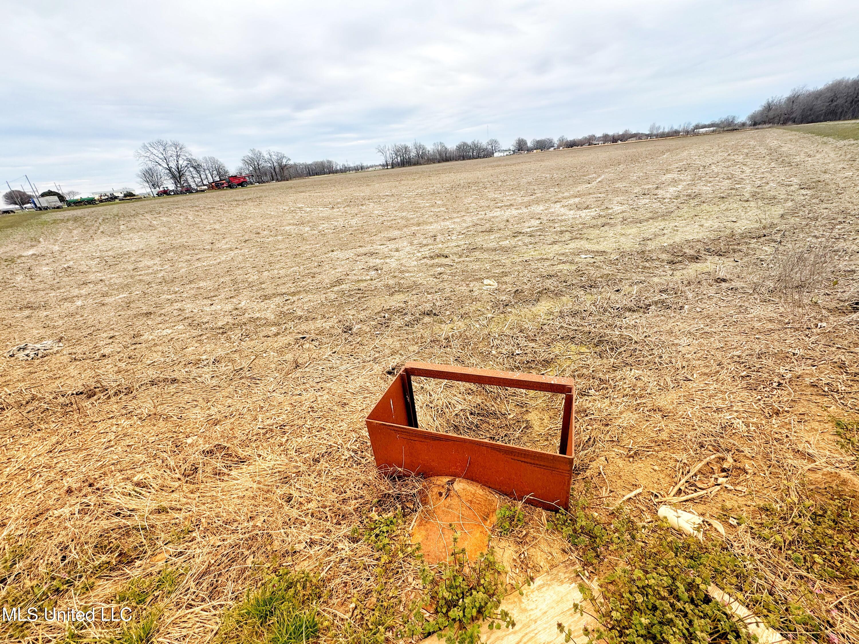Mcwimus Road Merigold, MS 38759 - Photo 12 of 15 IMG_5537