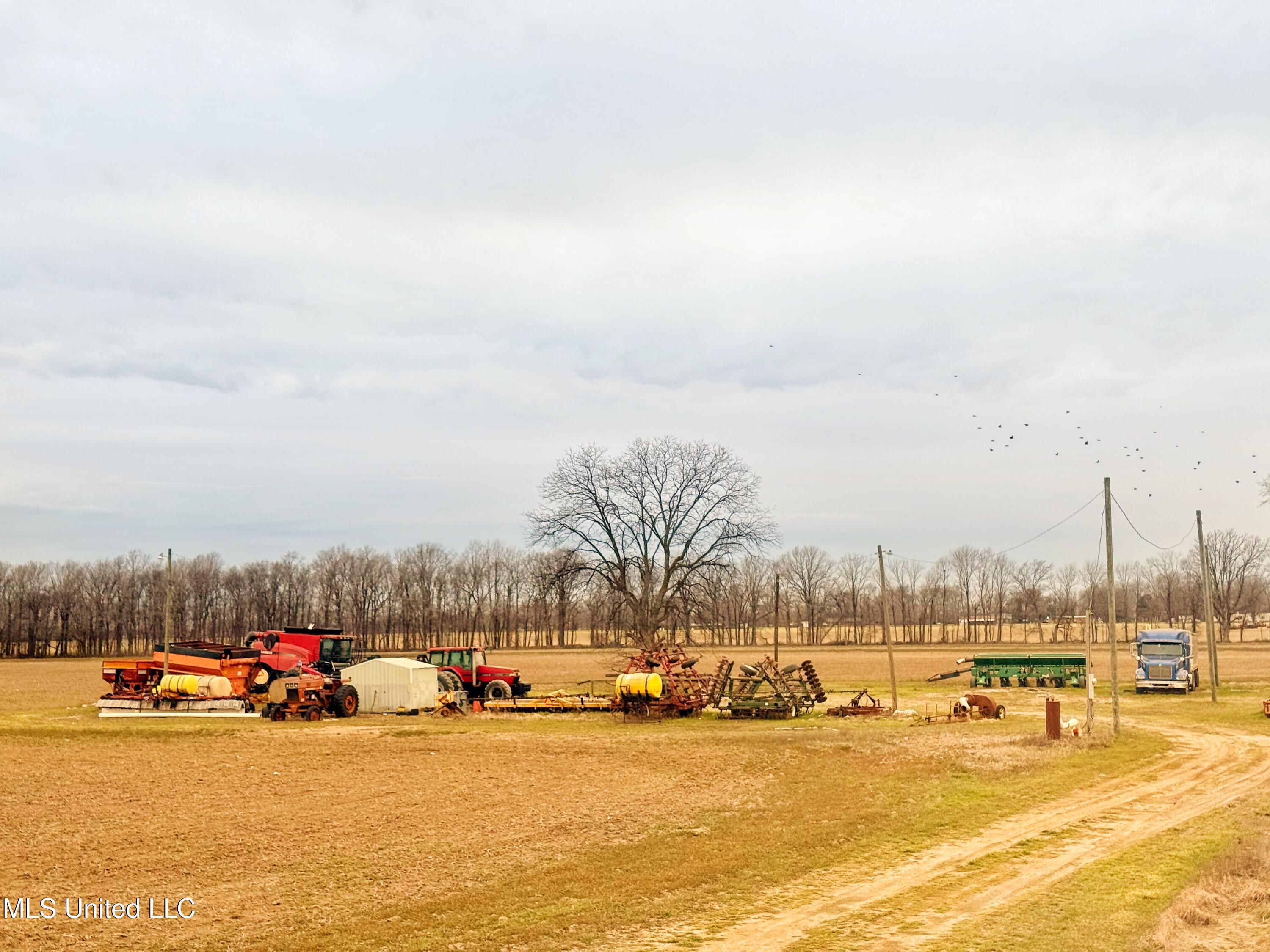 Mcwimus Road Merigold, MS 38759 - Photo 3 of 15 IMG_5544