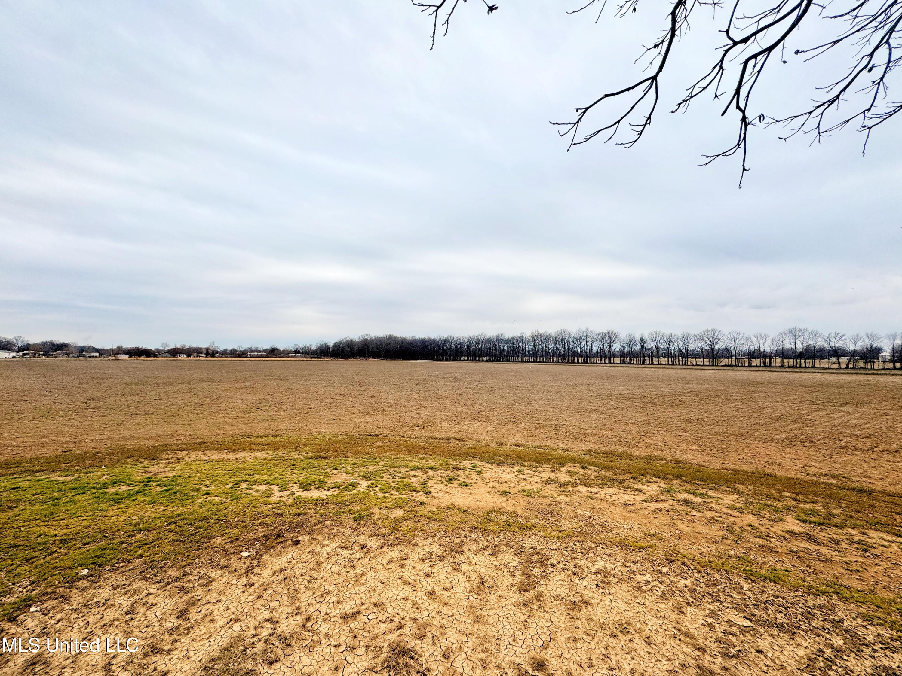 Mcwimus Road Merigold, MS 38759 - Photo 4 of 15 IMG_5522