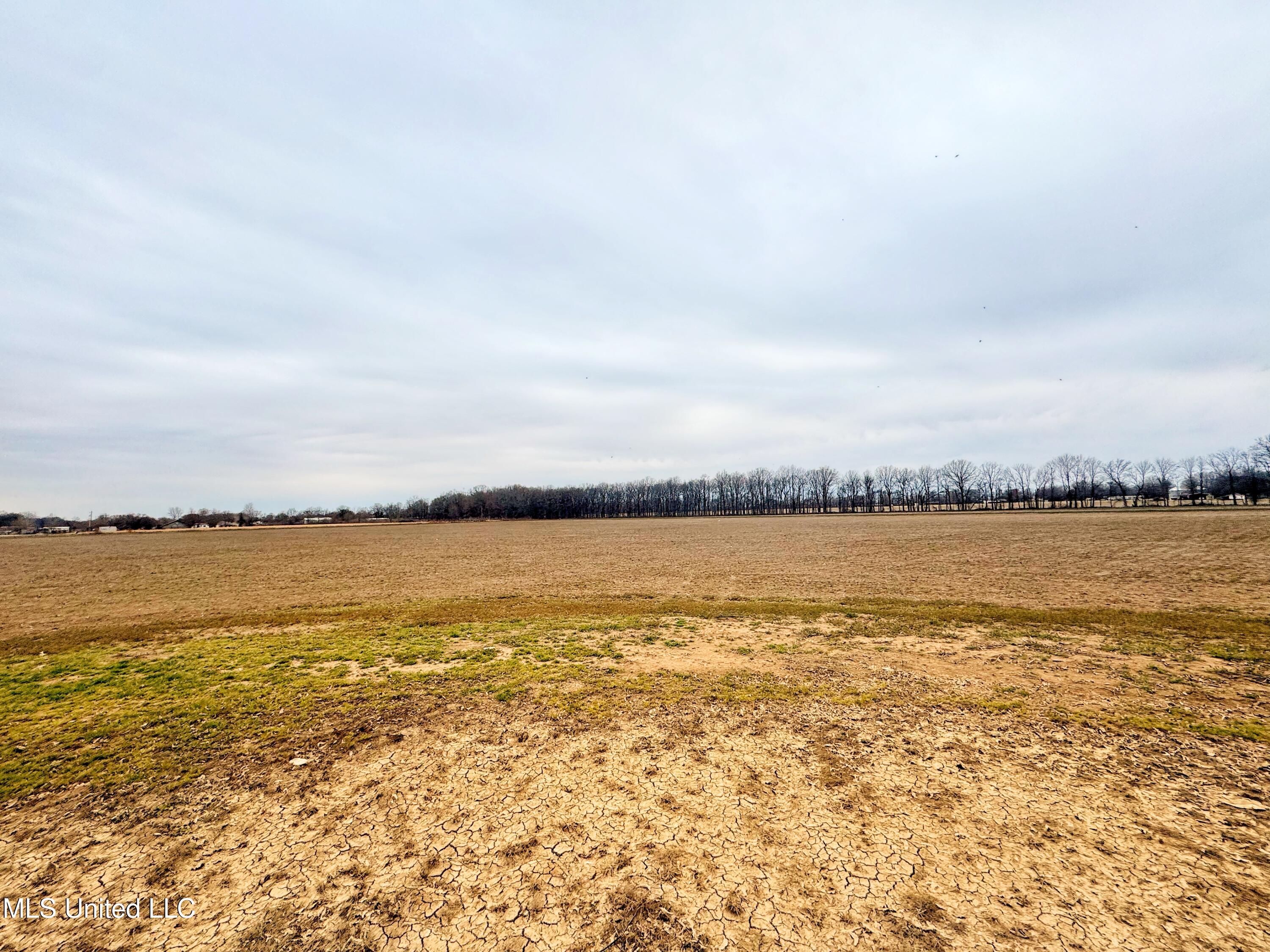 Mcwimus Road Merigold, MS 38759 - Photo 5 of 15 IMG_5529