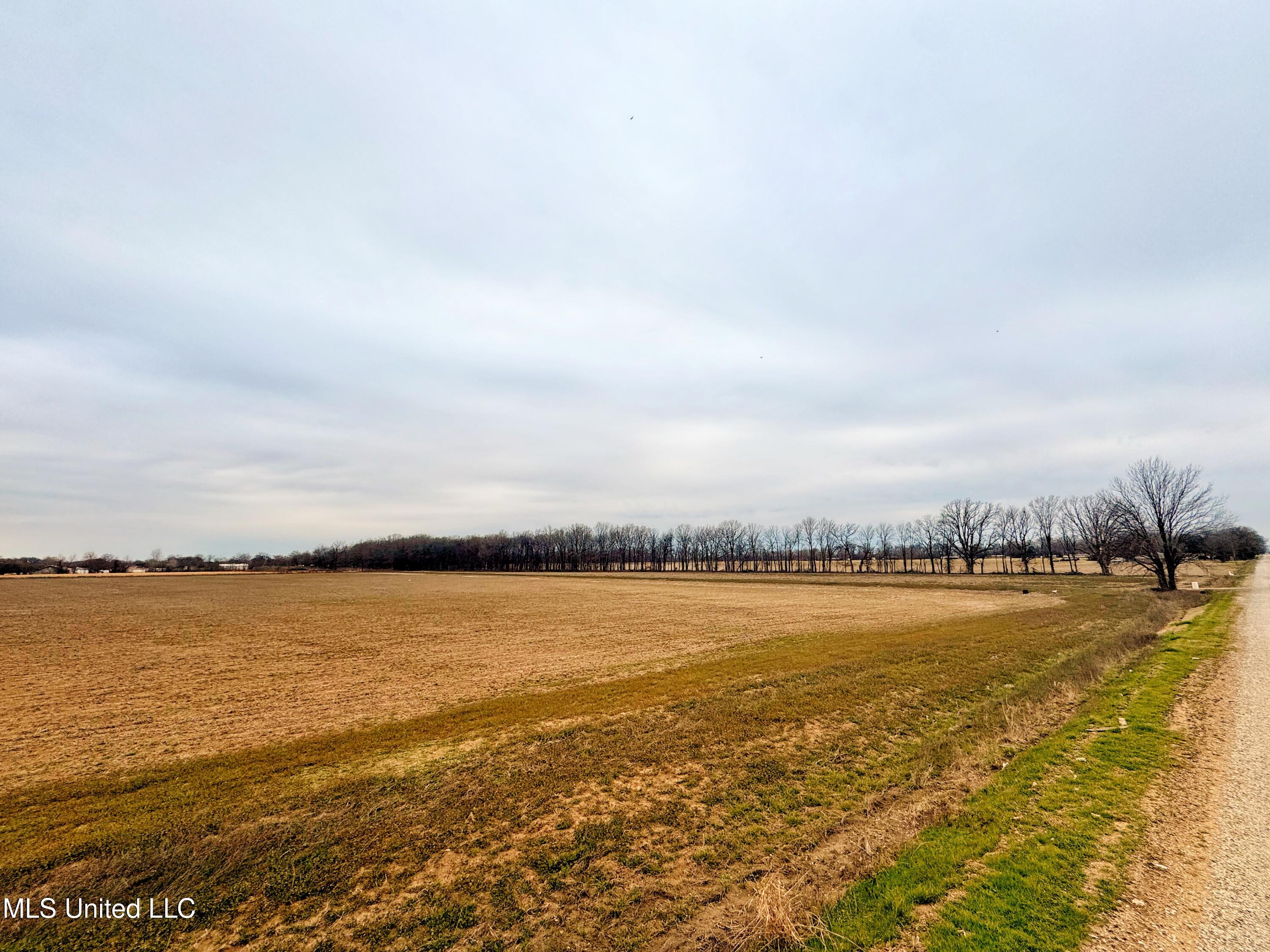 Mcwimus Road Merigold, MS 38759 - Photo 6 of 15 IMG_5532