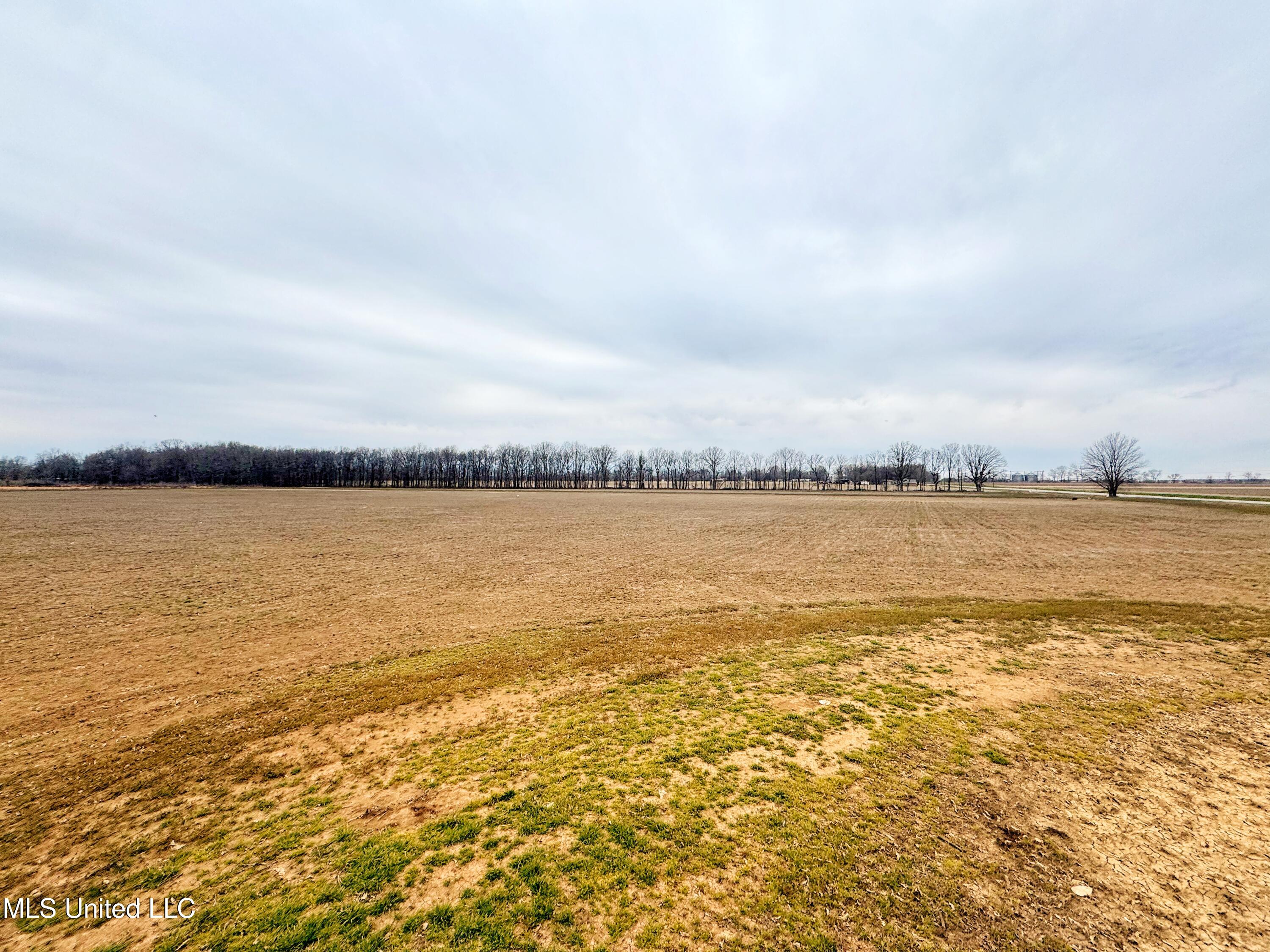 Mcwimus Road Merigold, MS 38759 - Photo 7 of 15 IMG_5524