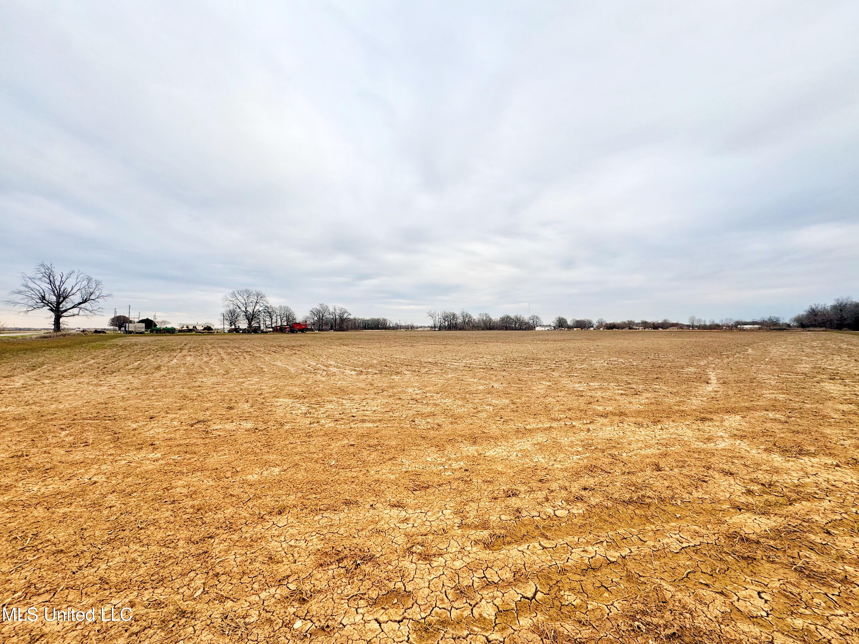 Mcwimus Road Merigold, MS 38759 - Photo 8 of 15 IMG_5541