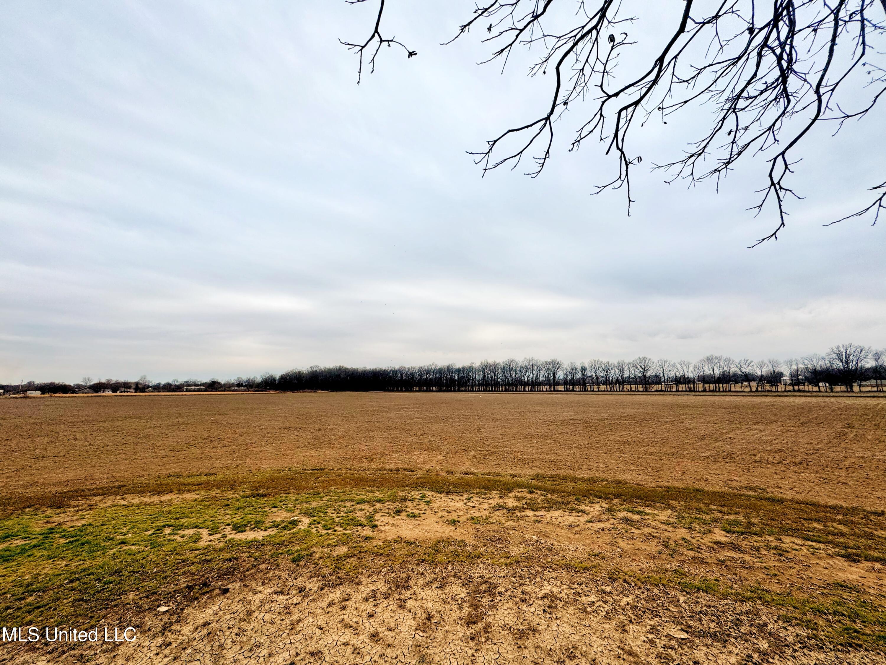 Mcwimus Road Merigold, MS 38759 - Photo 10 of 15 IMG_5523