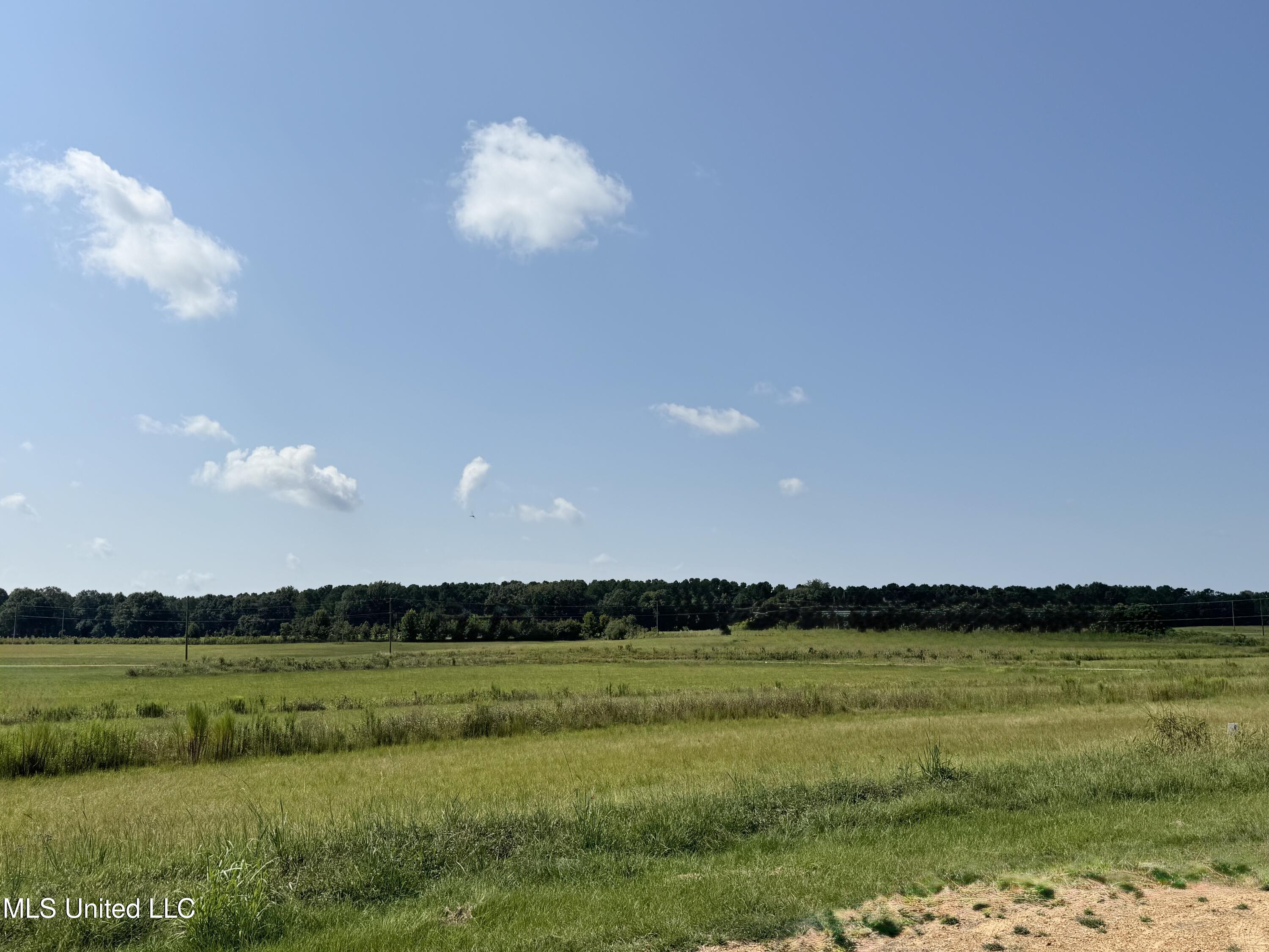 R5 Old Highway 16 Benton, MS 39039 - Photo 2 of 12 IMG_8871