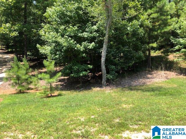 8132 Weatherstone Circle, Unit 17 Bessemer, AL 35022 - Photo 1 of 1