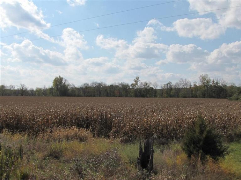 Gilbert Road Waldron, MI 49288 - Photo 1 of 4 Primary Photo