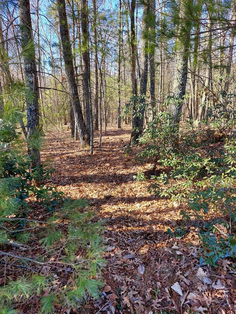 6 Wolfpen Ridge Road Galax, VA 24333 - Photo 11 of 18 Gallery Image 11