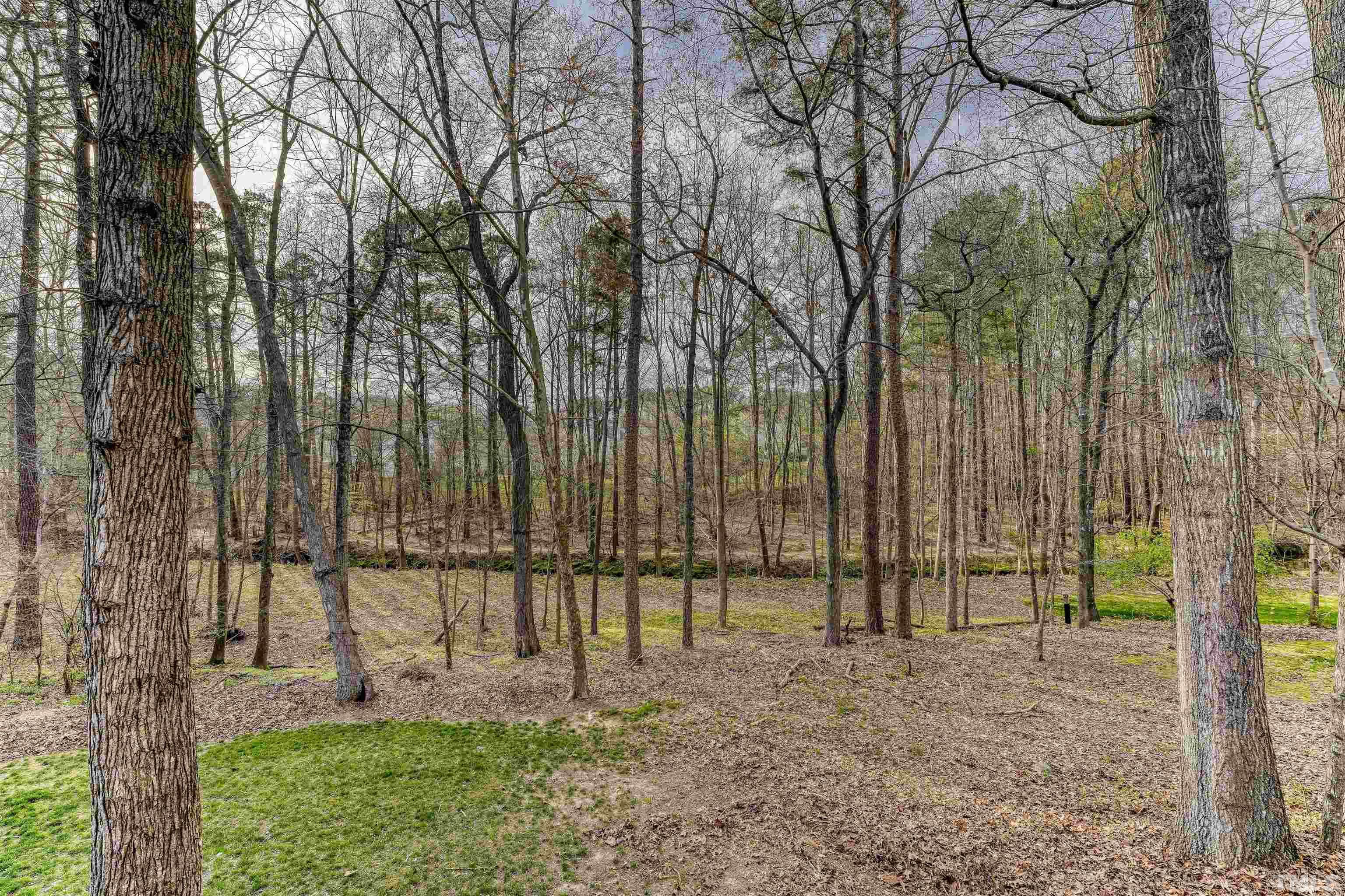 5516 Bridford Place Raleigh, NC 27613 - Photo 20 of 20 a view of a park with large trees
